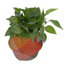 Panier pliable en ruppie maritime