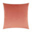 Belvedere Pillow Cover & Insert-1606705778-1594365757