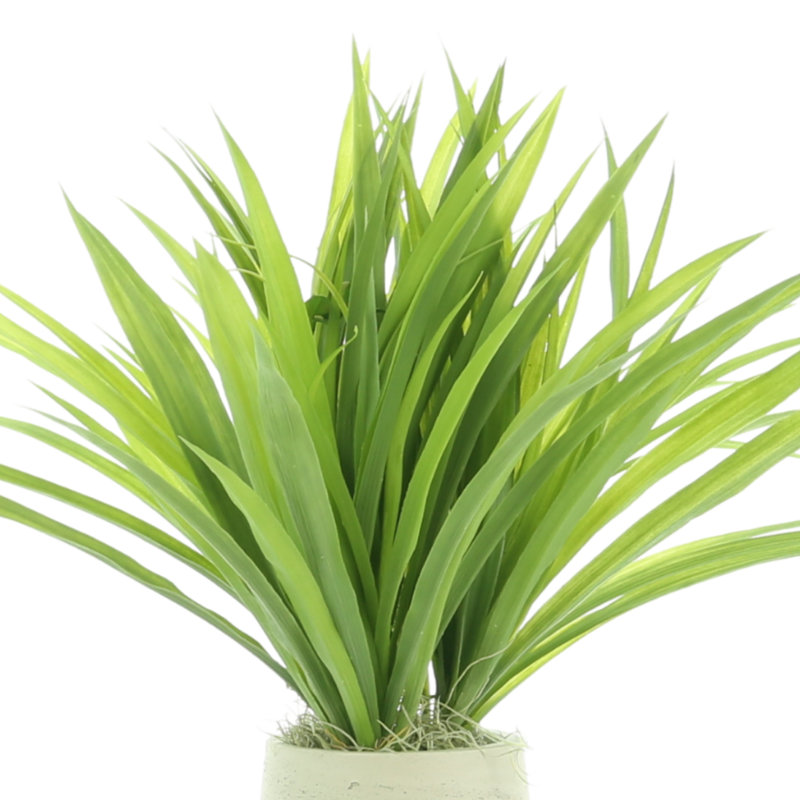 Riey Faux Grass in Fiberstone Pot