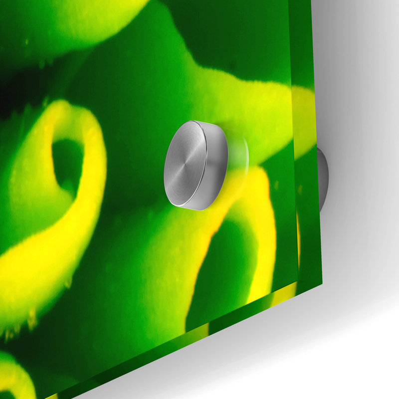 «Green Design 1» par PhotoINC Studio, H 24 po x l 36 po