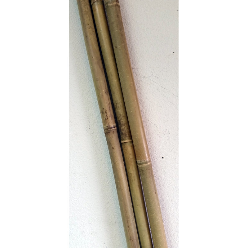96 Ft. H x 1 Ft. W Bamboo Fencing