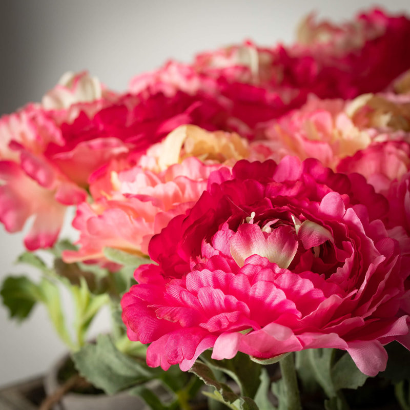 Caisse de pivoines en pot 7 po