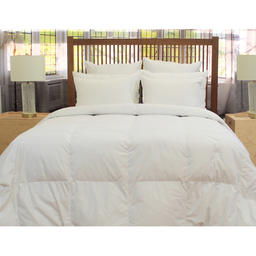 Chateau Winter Goose Down Comforter Belle Epoque 