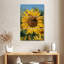 Harnek, tournesols, papillons, saison estivale-108530776