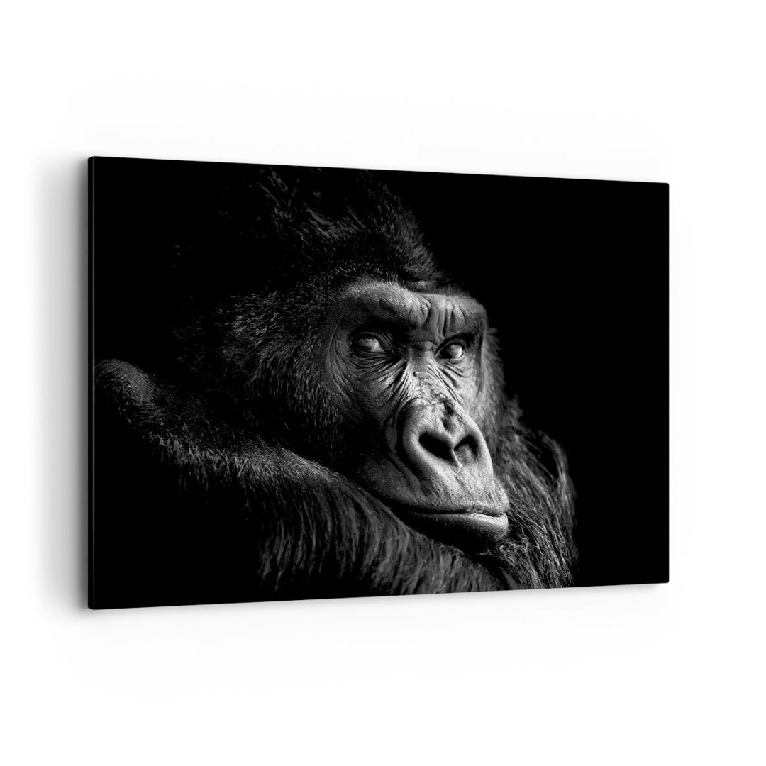 Leinwandbild Monkey Gorilla Portrait