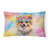 Other/No Pattern Outdoor Throw Pillow