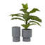 Ensemble de pots à fleurs 2 pièces Robbins-354356605-354356606
