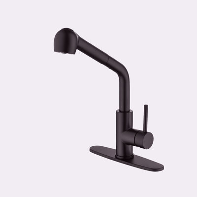 Robinet d'évier de cuisine à poignée simple avec douchette extractible
