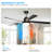 65 Inch Black Ceiling Fan With Light