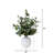 Weller Eucalyptus Arrangement in Planter