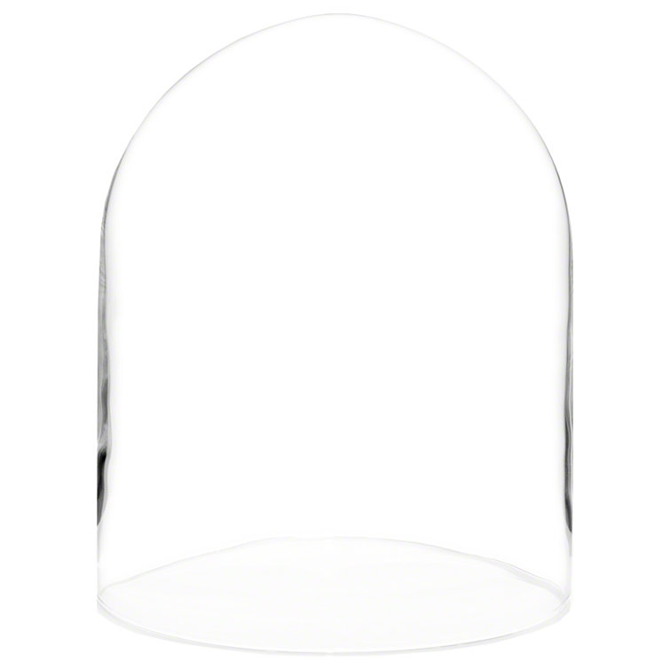 Latitude Run® Jenett Display Dome Cloche | Wayfair