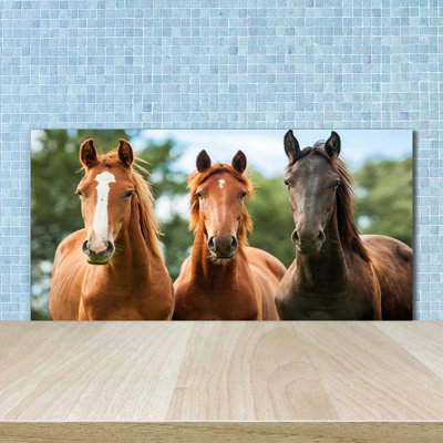 Rustburg 50cm W x 100cm L Glass Peel and Stick Panel