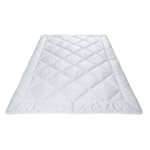 All Season Down Comforter
