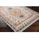 Aldusa Oriental Indoor Rug