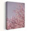 Fleurs de cerisier rose-129003207