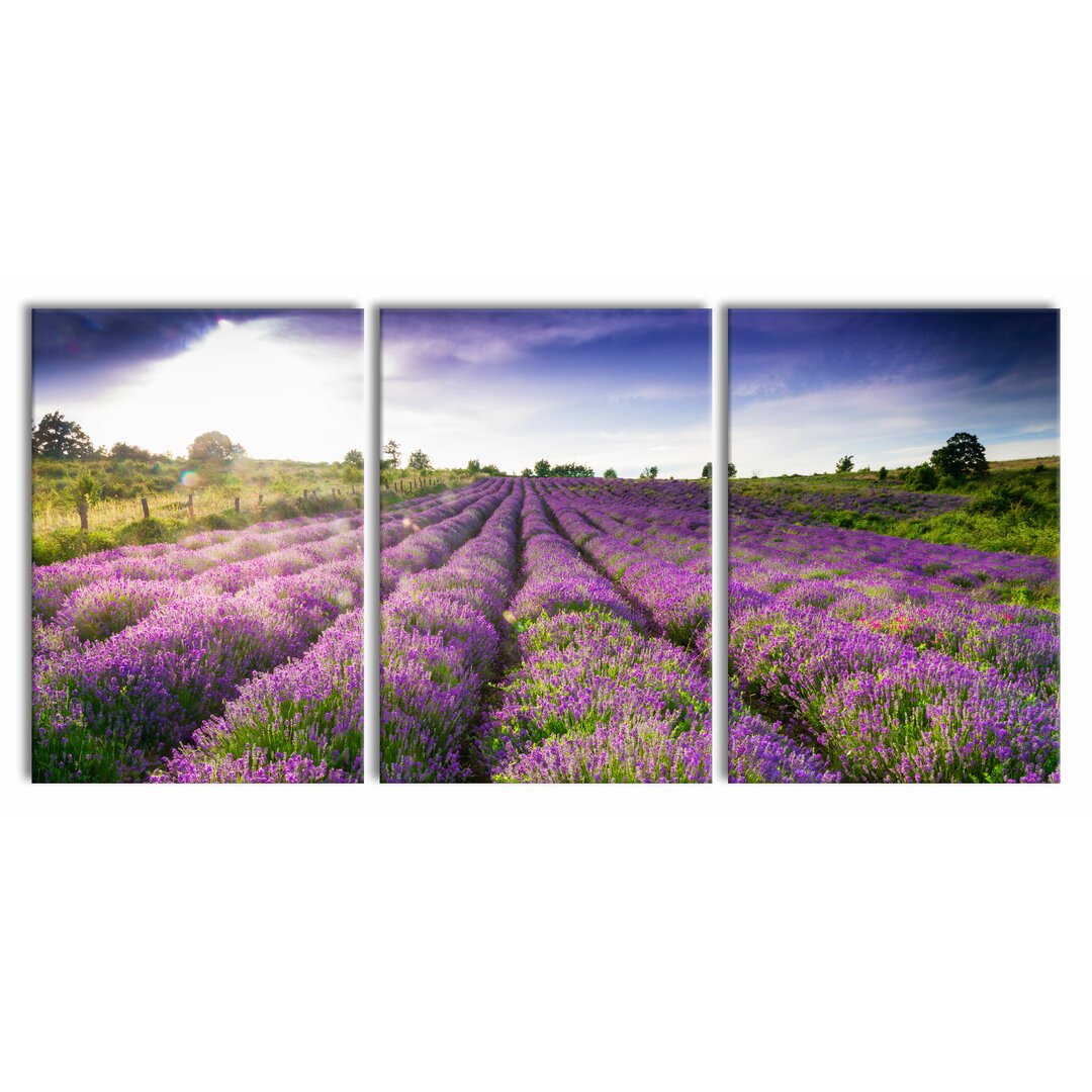 3-tlg. Leinwandbilder-Set Lavender Field in Provence