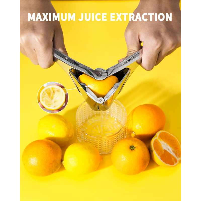 Presse-citron en acier inoxydable, presse-citron manuel pour citron, citron, orange