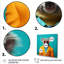 In suit Koala II - Koala, art mural animal-1014937926-1014937927