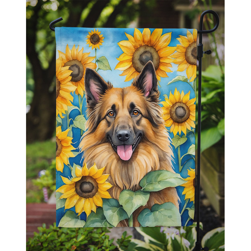 Lévrier irlandais dans le drapeau du jardin de tournesols, Berger de Tervueren