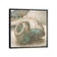 Coastal Gems II by John Seba - Print on Canvas-901907399-825259159