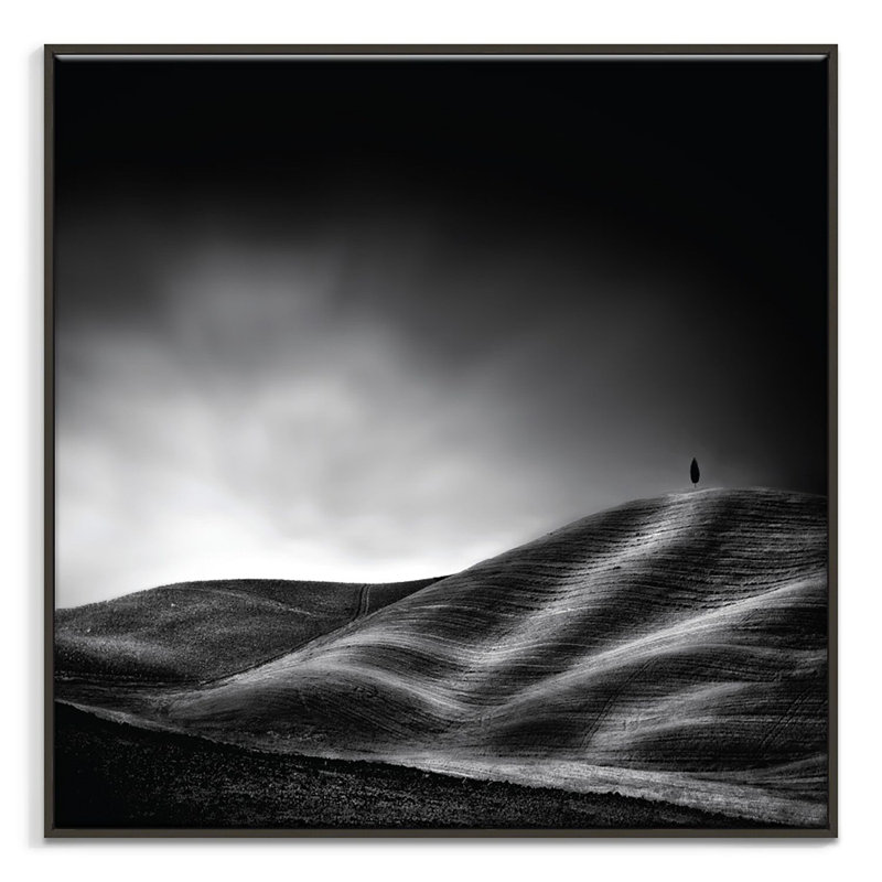 Print on Canvas, Black, 41cm H x 41cm W