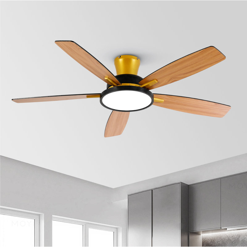 Wrought Studio™ 52 Inch Flush Mount Ceiling Fans With LED Lights, Gold with Black Blades