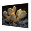 Cactus jaune, jaune, noir, coucher de soleil-897050215-897050217