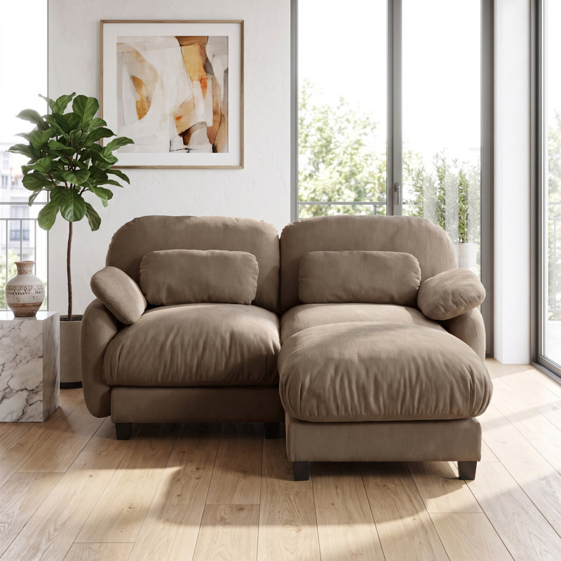Canapé 2 places avec repose-pieds et repose-pieds en chenille douce pour salon, appartement, Brun