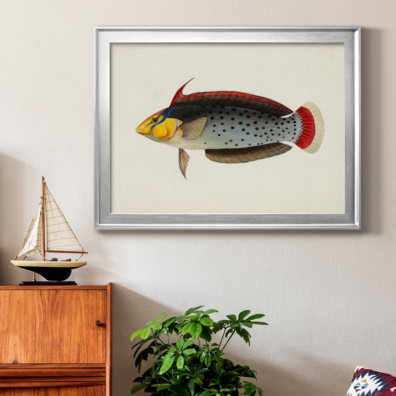 «Tropical Fish Collection IV», reproduction encadrée de qualité supérieure - prête à être accrochée, Cadre argenté