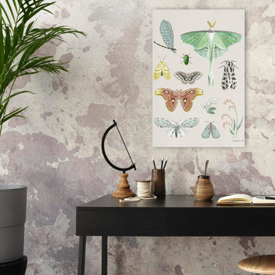 Bohemian And Modern Rustic Beauty Of The Forest IV