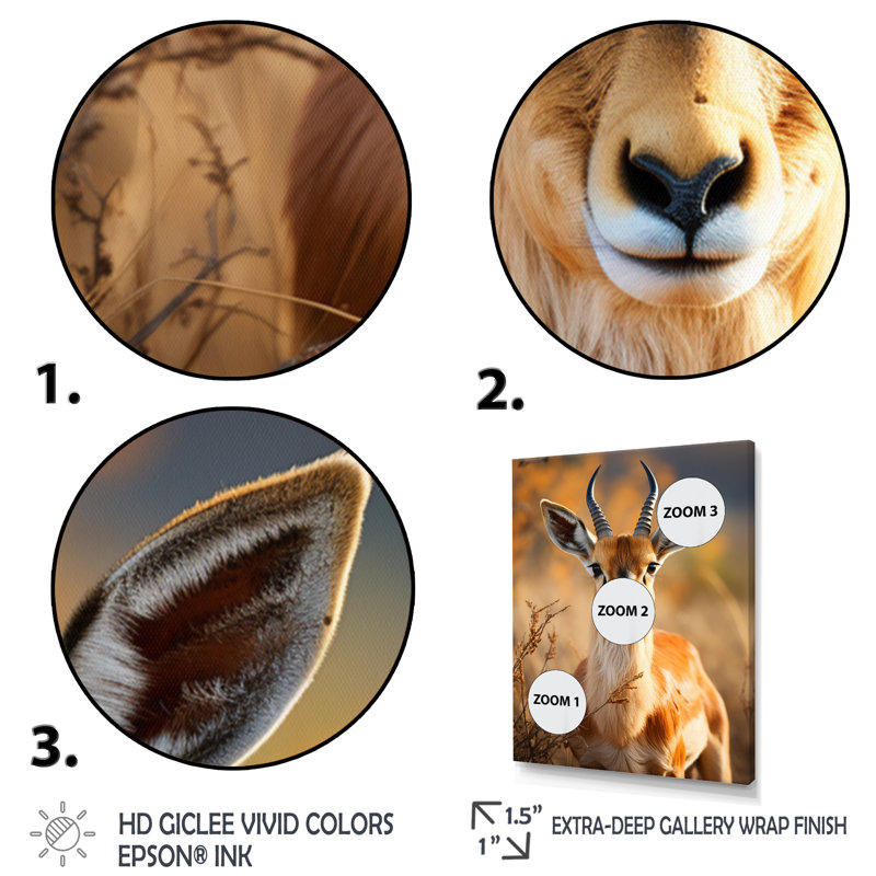 Antilope Kendon, photo I - impression, Cadre simple noir, H 32 po x l 16 po x P 1 po