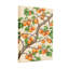 Plantes et fleurs, branche d'abricot avec fruits mûres et feuilles vertes