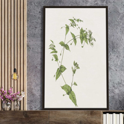 " Wispy Botanical I " by Kelly Donovan Painting Print