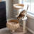 Sleeping in the Bowl Cat Tree with Basket Beds and Cushion, Cute Cat Tower with Cat Scratching Post