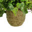 Nunn Faux Ivy Plant in Fiberstone Pot-557211658-557211659