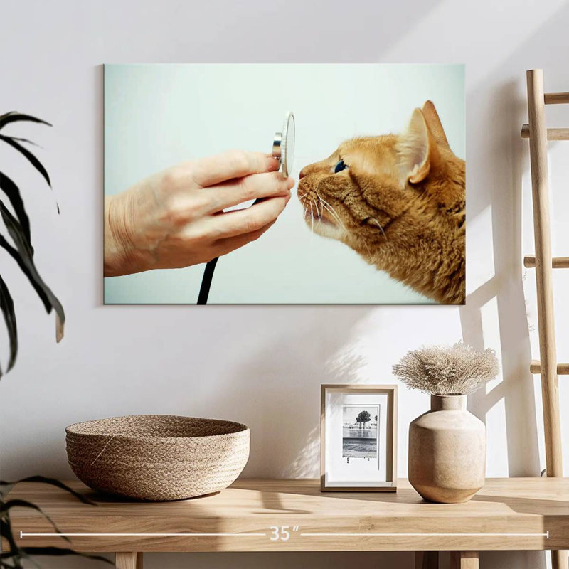 Chat chat sur toile, H 16 po x l 24 po x P 1,25 po
