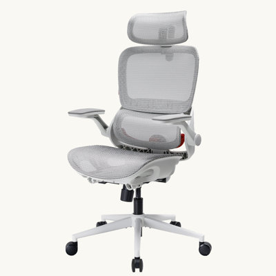Fauteuil de bureau B100 Pro