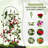 Serafina 48'' H x 16'' W Trellis