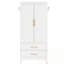 Metal Roye Closet with 2 Doors and Drawers