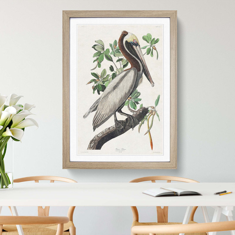 Brown Pelican by John Audubon - Picture Frame Graphic Art Print on MDF, 36cm H x 27cm W x 2cm D, Oak Framed