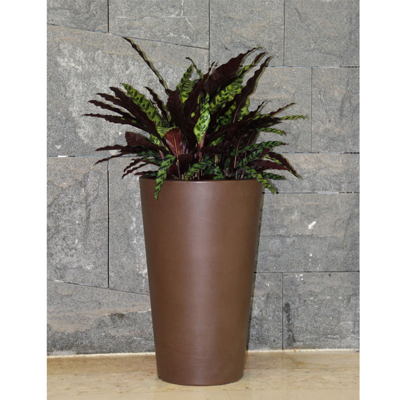 Pot rond brun