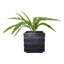 Plante grasse artificielle Bragdon en pot