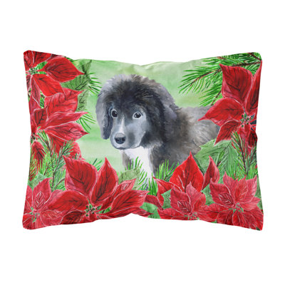  Coussin Terre Neuve