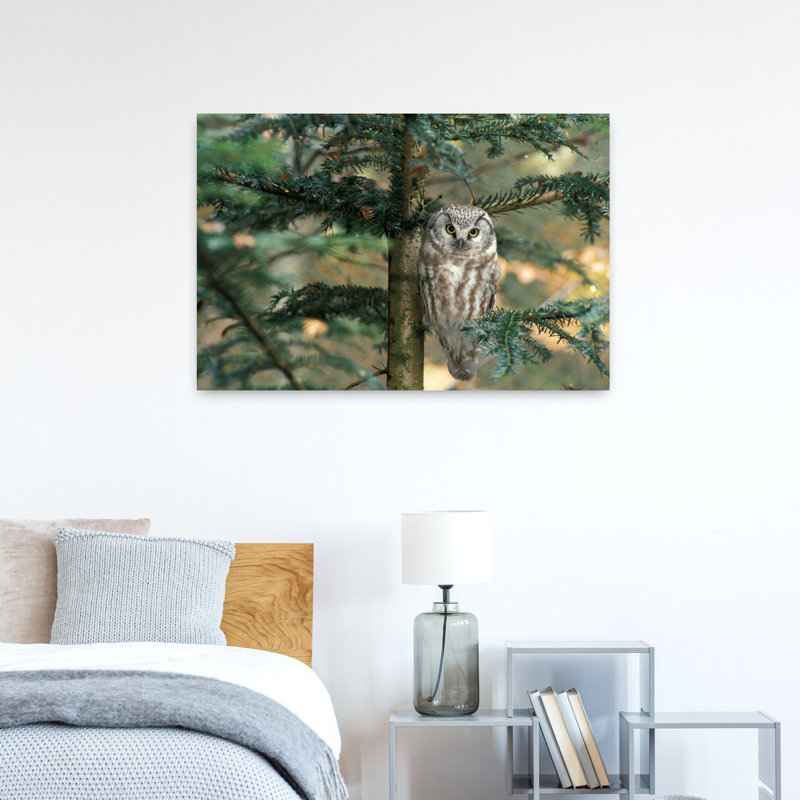 Chouette dans un arbre abstrait contemporain, H 24 po x l 36 po