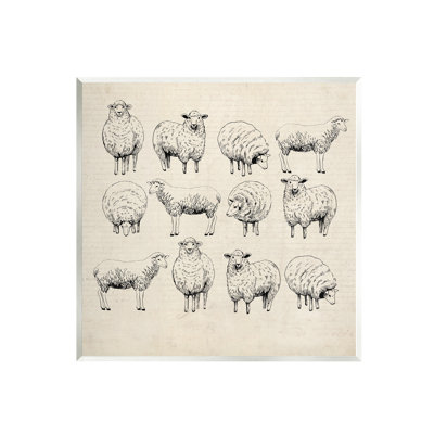 «Az-337-Wood Vintage Sheep Dessins on Canvas» par Karen Smith, reproduction