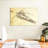 Laelle Design For A Flying Machine-108115059