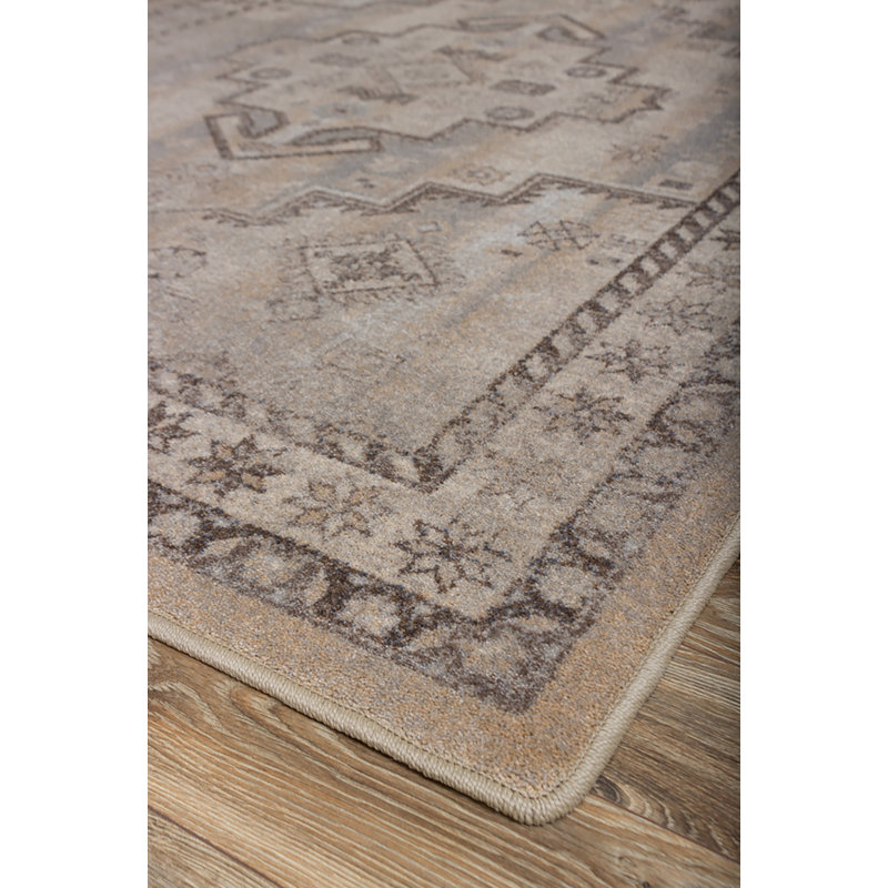 Sydney Southwestern Indoor Rug, Rectangle 3' x 4'