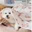 Petite courtepointe pour animal de compagnie-99320785