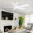 Dainius 60'' Ceiling Fan with LED Lights-1476130425