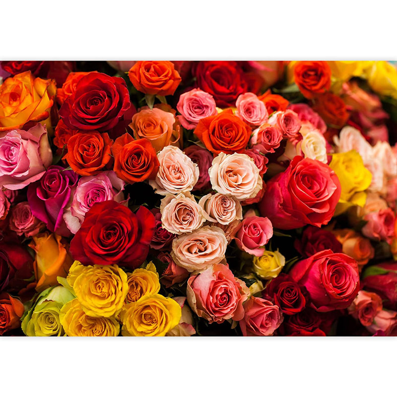 Elegant Rose Flower Floral M18, 100" L x 144" W